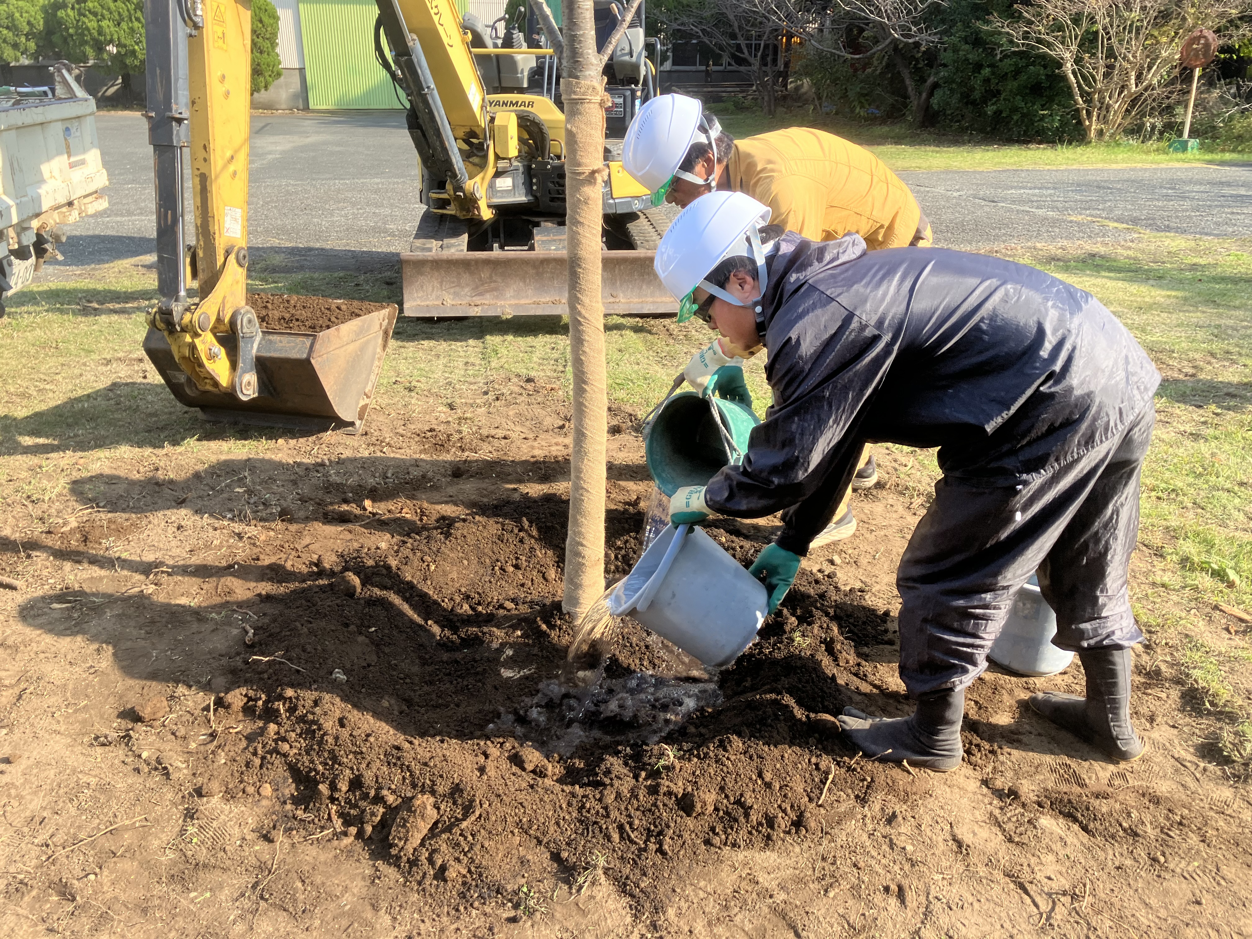 伐採と植栽を行いました