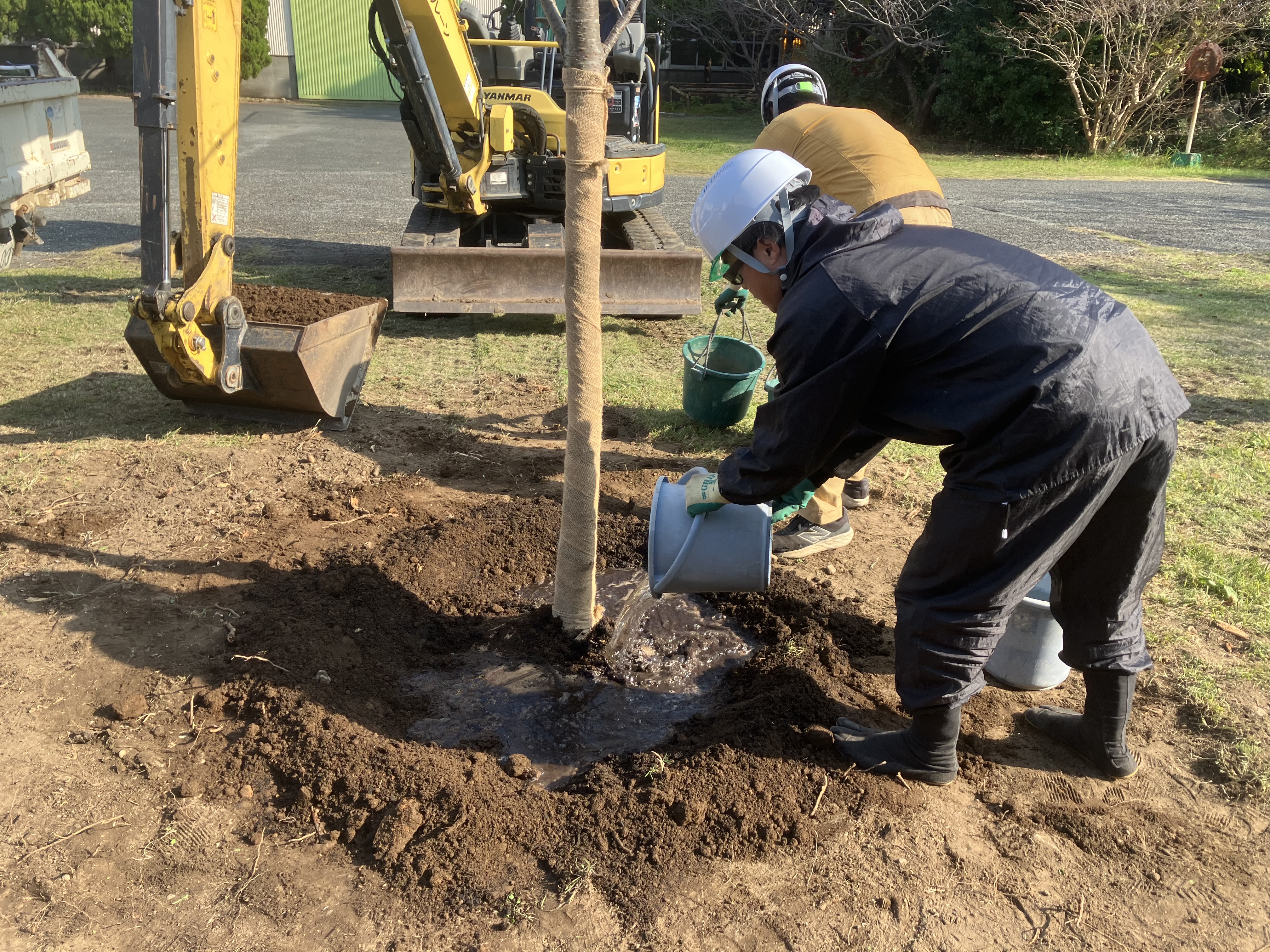 伐採と植栽を行いました